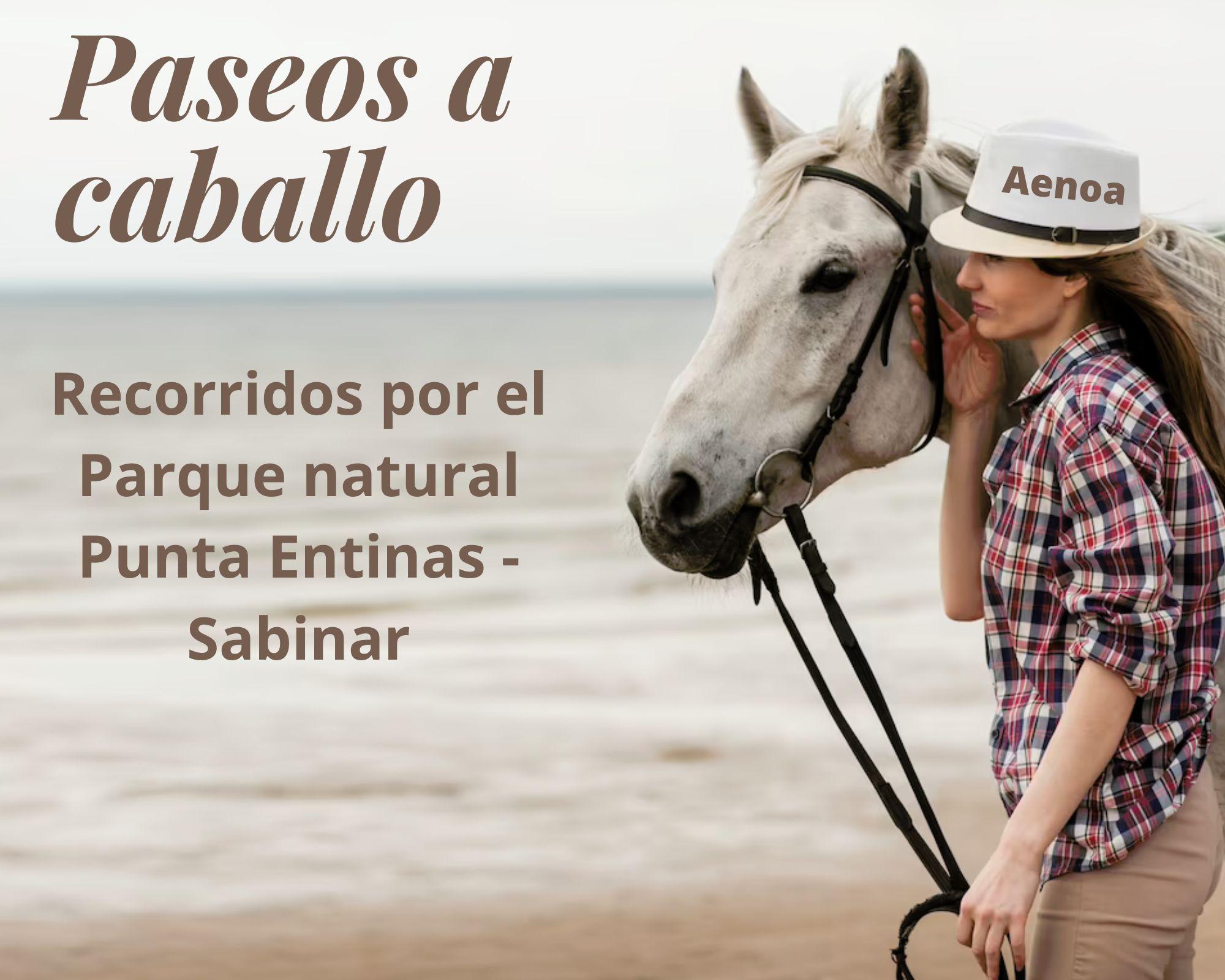 Paseos a Caballo