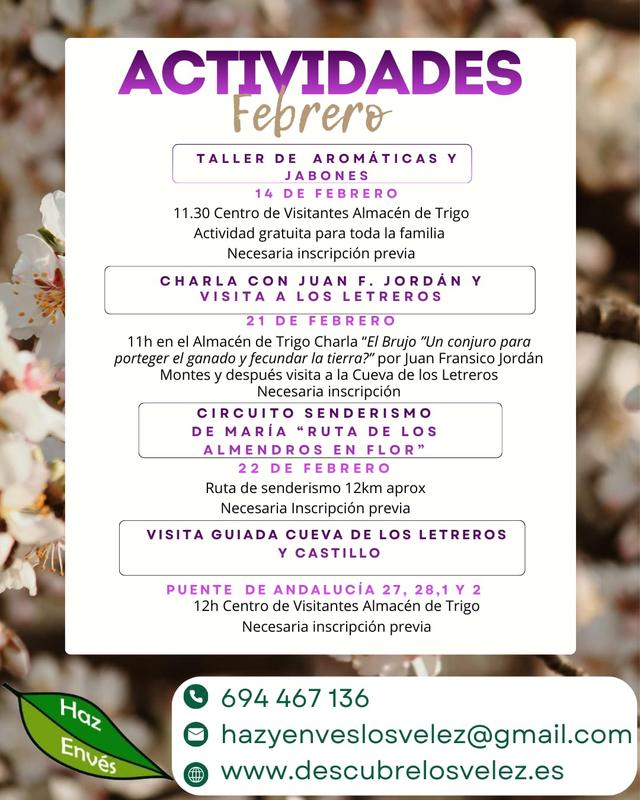 Whats App Image 2026 02 07 at 11.03.13