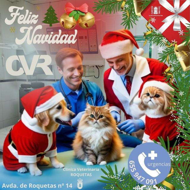 20241217   Clinica Veterinaria Roquetas