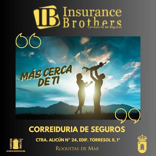 20250301   Insurance Brothers