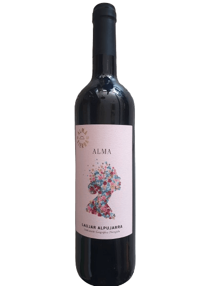 20240228 113646 Removebg Preview