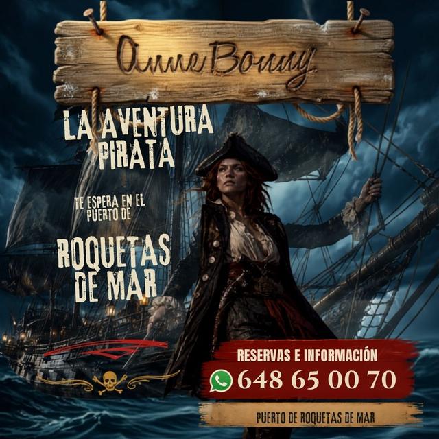 Cartel De Madera Con Anne Bonny