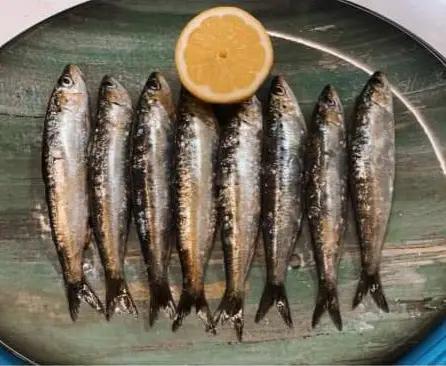 Sardinas en Ales & Patricia Pizzeria Restaurante