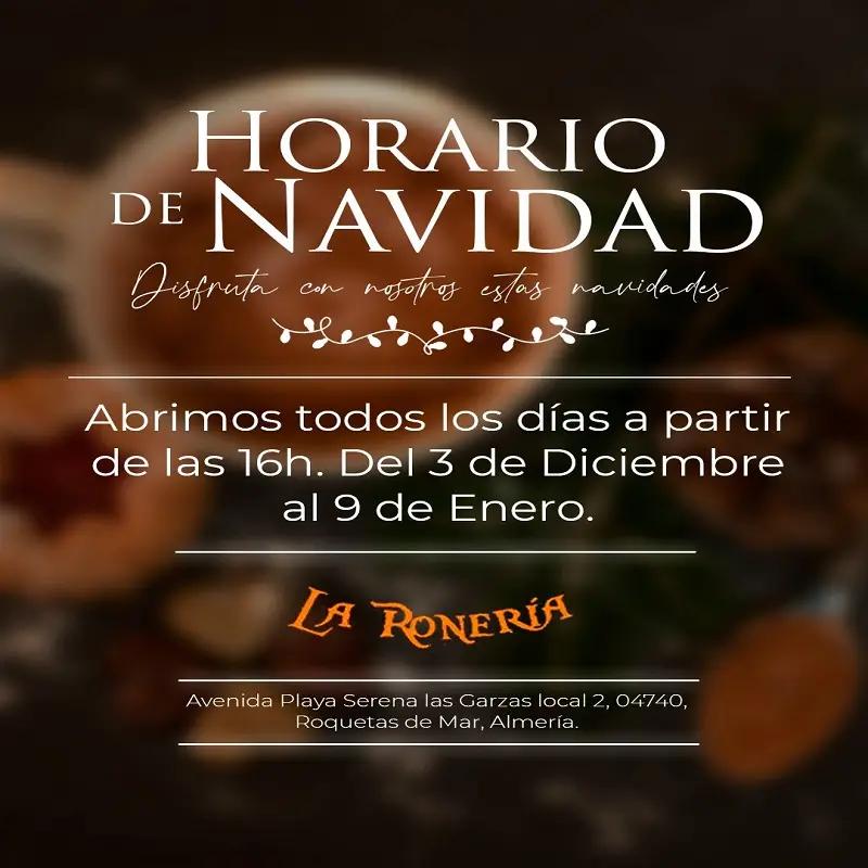 Gráfica informativa de Navidad en La Ronería 