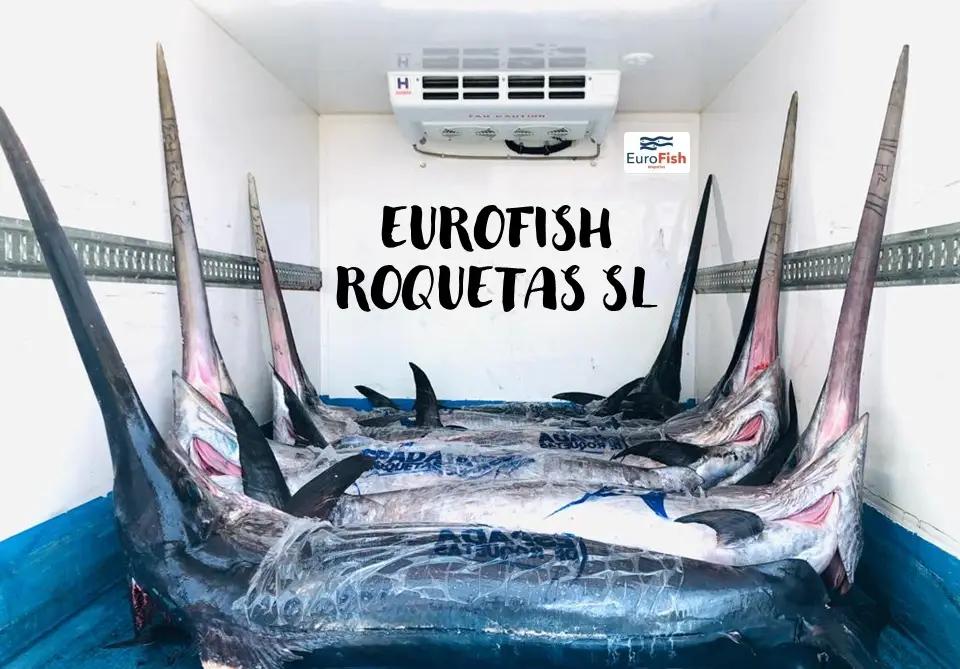 Eurofish Roquetas pez espada