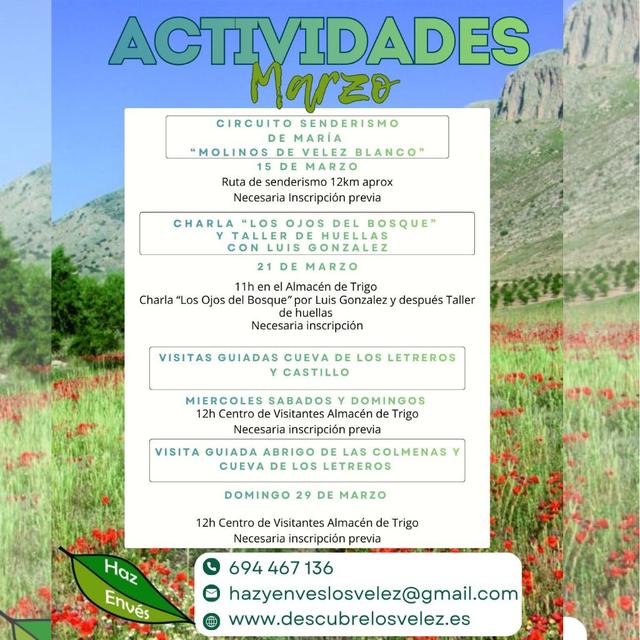 Excursión De Medio Dia