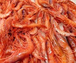 Gambas frescas