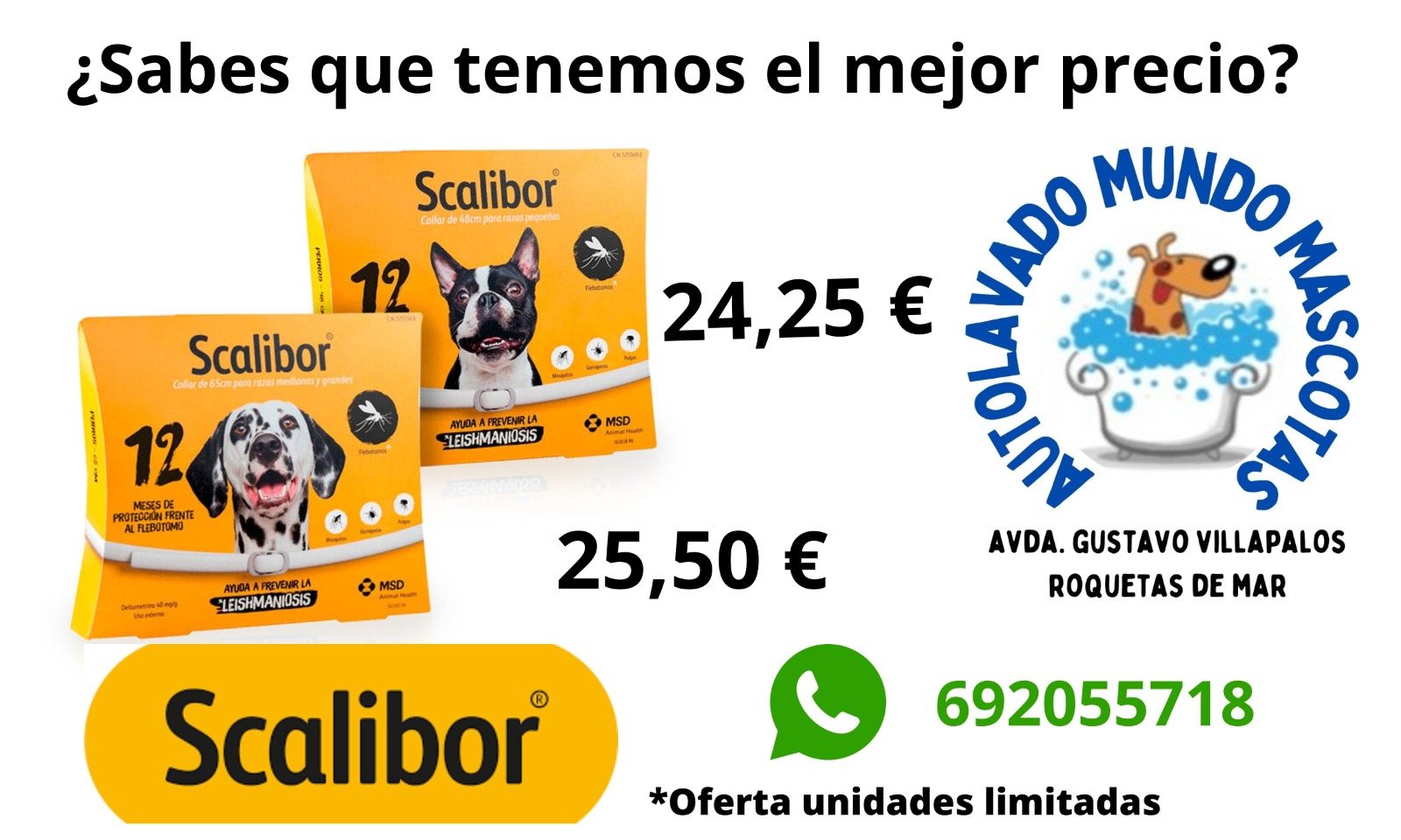 001 3a7d7ab5 08c4 4a03 aebd 45de14e729e5