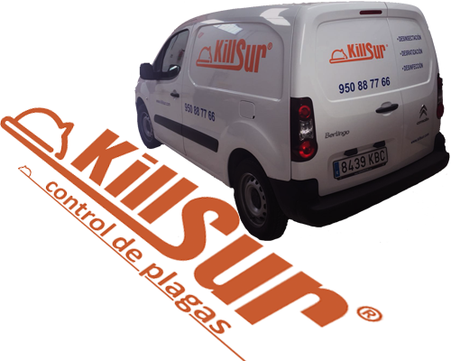 001 logokillsur2