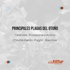 002 descarga