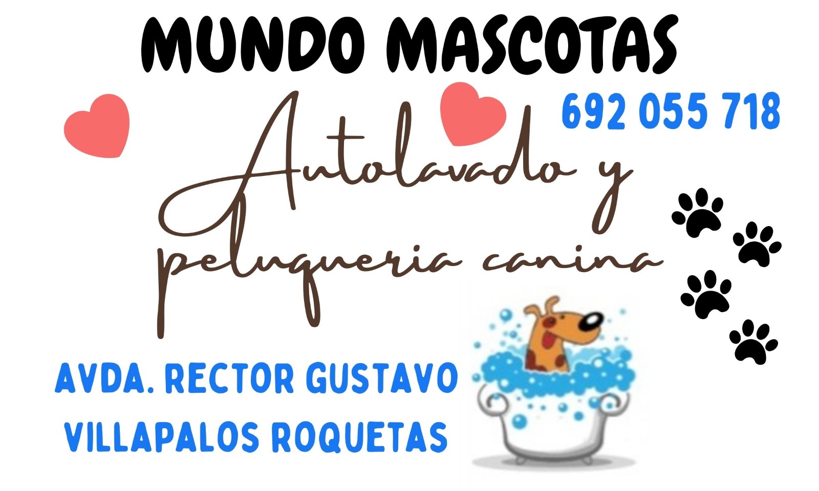005 0273da1e e46a 48e4 89c5 41191ecb431c