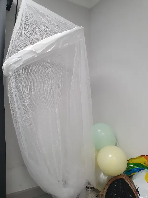 009 files 1634923380941 922964992