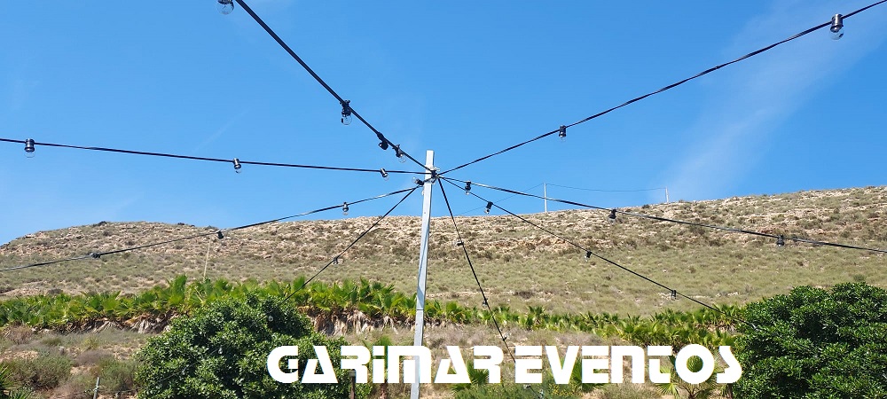 013 355271516 743330997792549 6577952086017330562 n