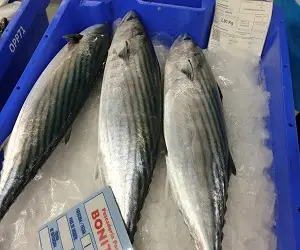 019 files 1631658957195 742675491