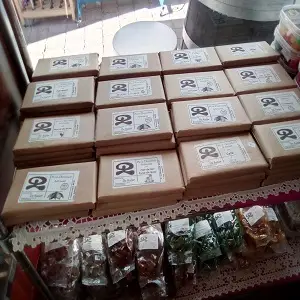 023 files 1631786219343 648923513