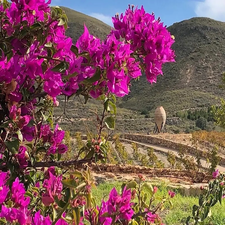 051 files 1646160671025 486368923 1