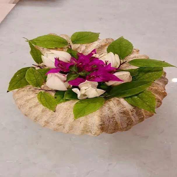 060 files 1646160671029 35732031 1