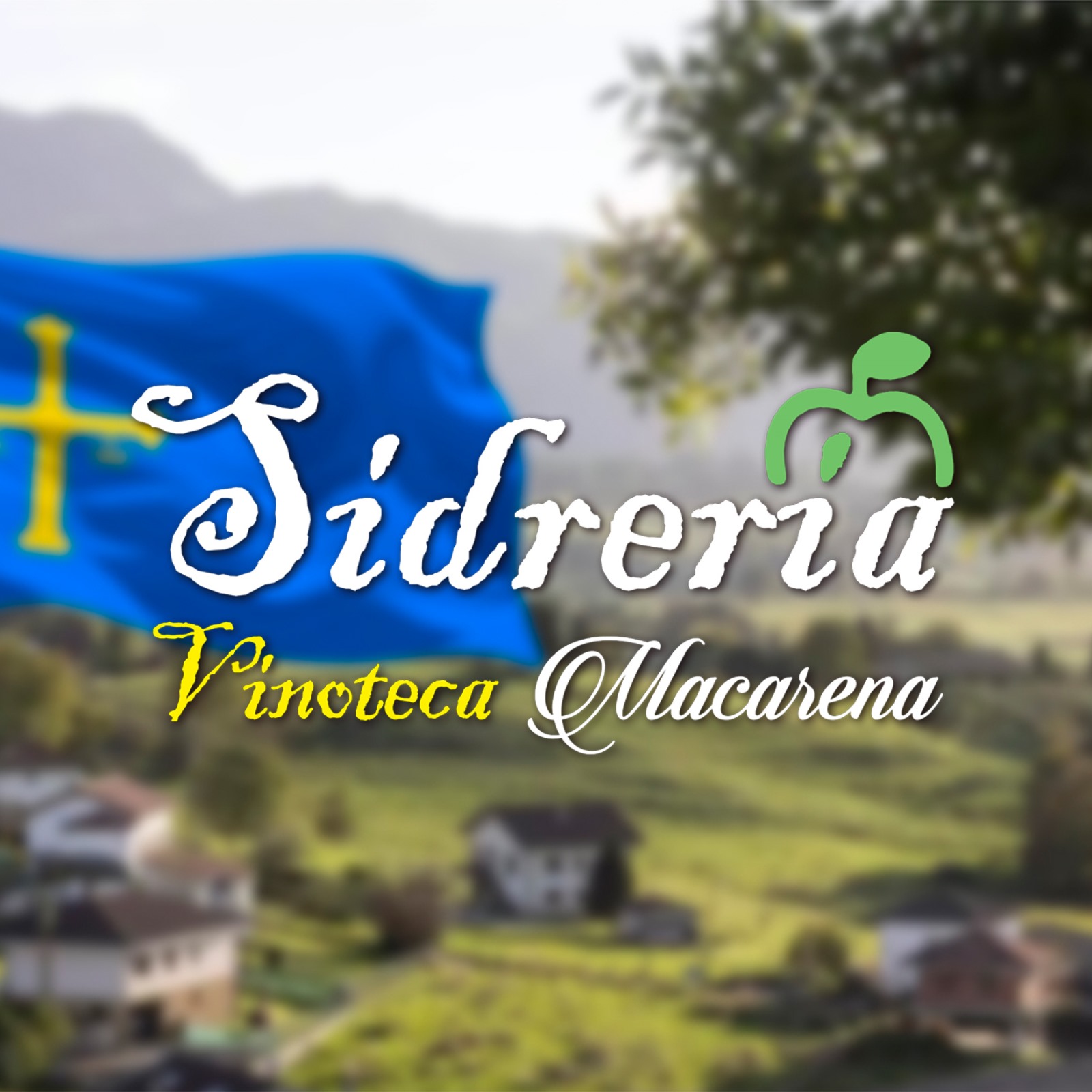 SIDRERÍA VINOTECA MACARENA – Principal