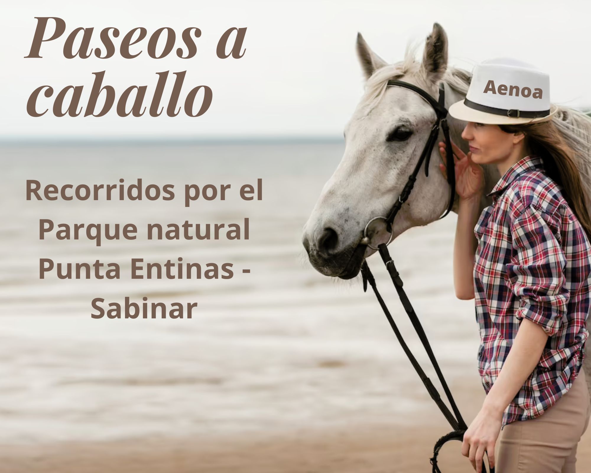 PASEOS A CABALLO – Principal