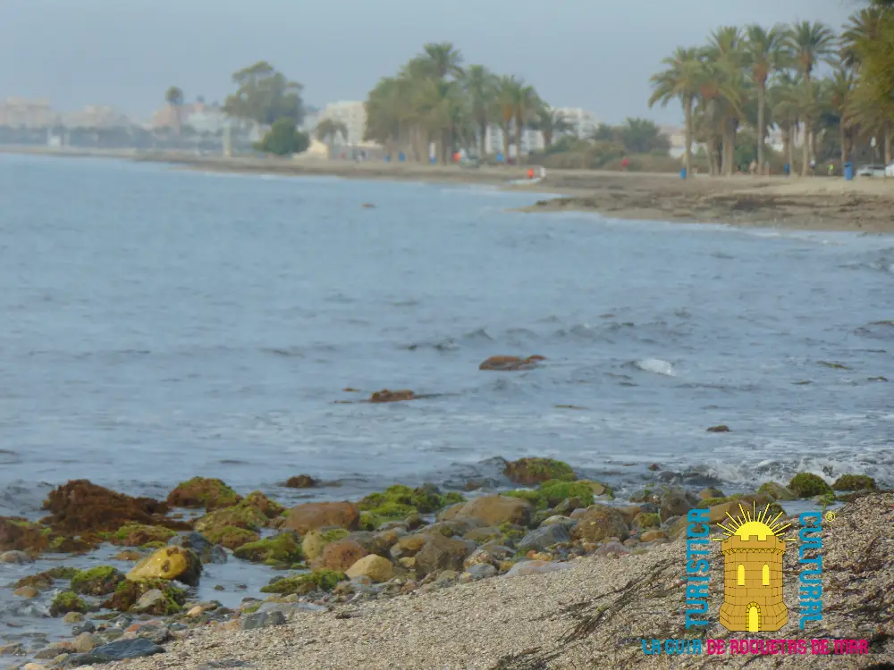 Playa de La Ventilla – Principal Playa de La Ventilla – Principal