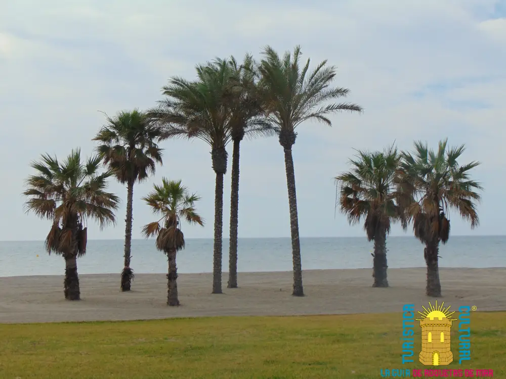 Playa de la Urbanización – Principal Playa de la Urbanización – Principal