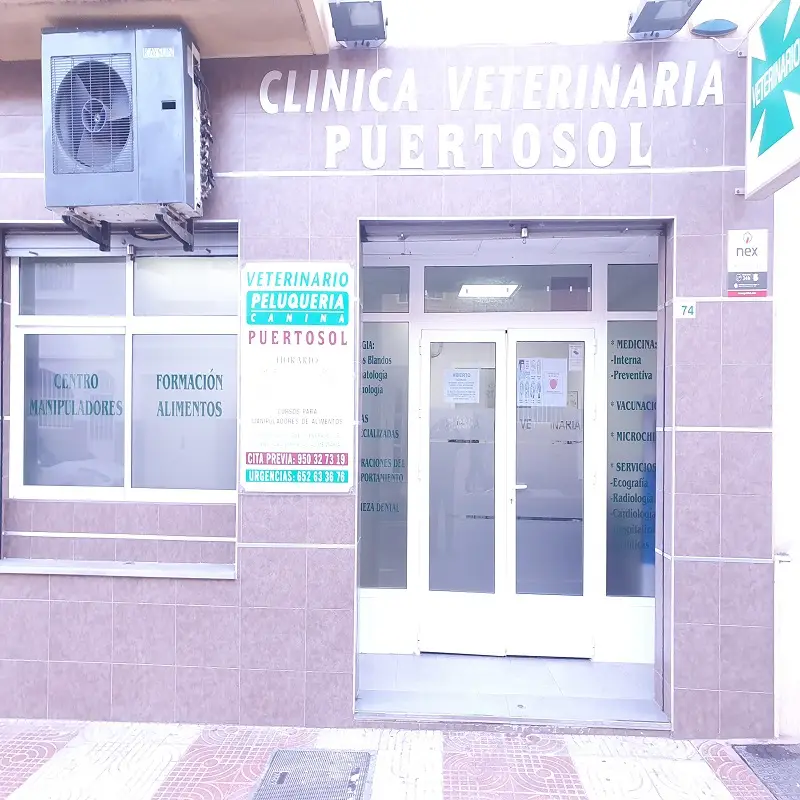 Puertosol – Clínica Veterinaria – Principal Puertosol – Clínica Veterinaria – Principal